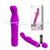 Masajeador vibrador con forma de conejo 10 velocidades